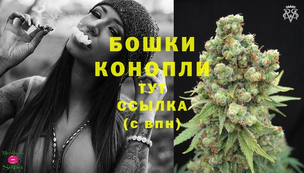 ПСИЛОЦИБИНОВЫЕ ГРИБЫ Горнозаводск