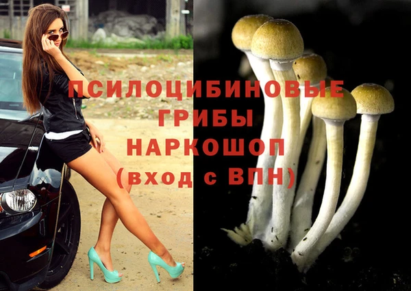 спиды Вяземский