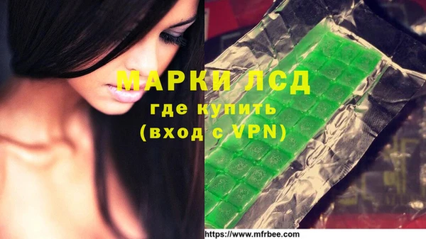 ПСИЛОЦИБИНОВЫЕ ГРИБЫ Горнозаводск