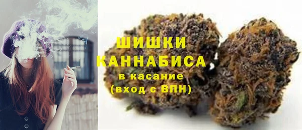 ПСИЛОЦИБИНОВЫЕ ГРИБЫ Горнозаводск
