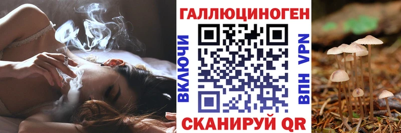 сколько стоит Окуловка KRAKEN ТОР Галлюциногенные грибы Cubensis